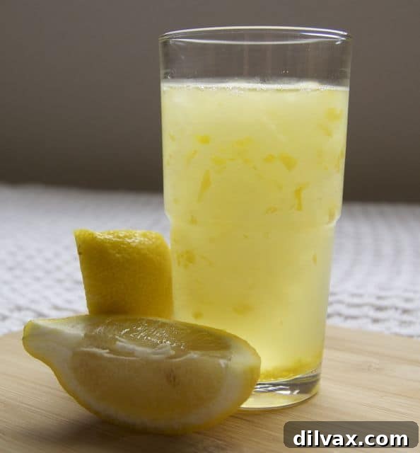 A vibrant glass of frozen lemonade, garnished with fresh lemon slices, ready to refresh.