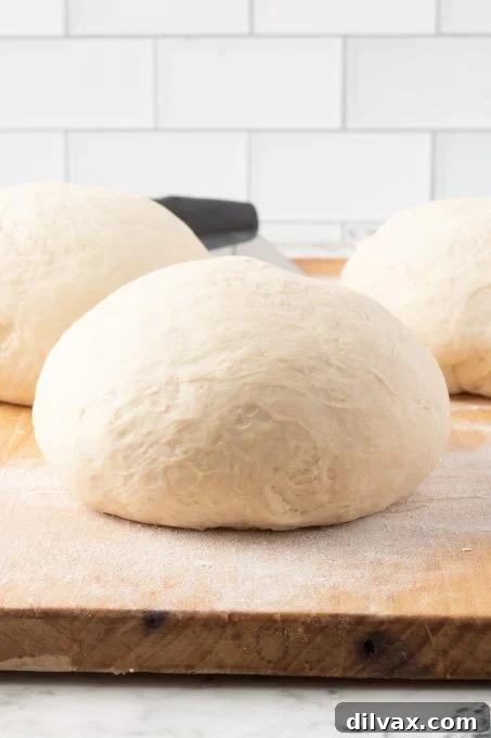 Pizzeria-Quality Pizza Dough At Home 10 Homemade Pizza Dough - THREE medium pizzas from one recipe. Another photo of stored pizza dough.