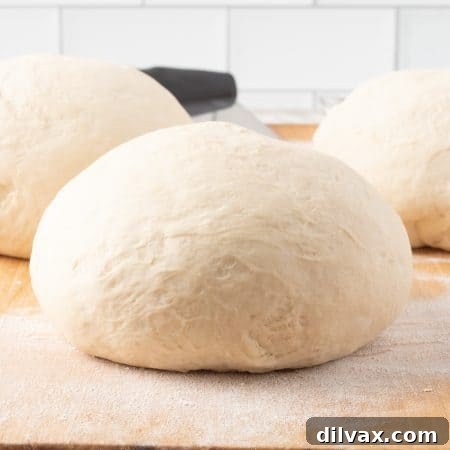 Homemade Pizza Dough - THREE medium pizzas from one recipe.