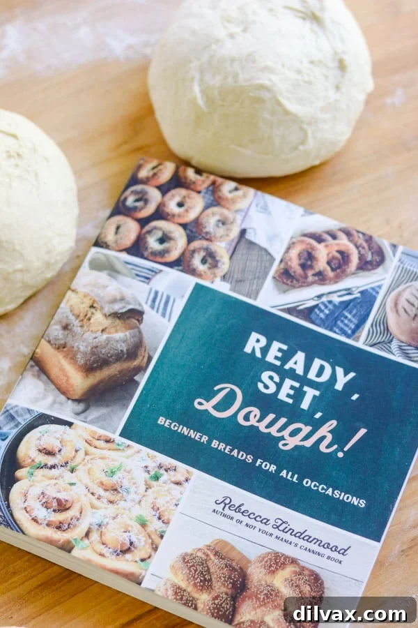 The Ready, Set, Dough! cookbook by Rebecca Lindamood. Rebecca Lindamood's cookbook - Ready, Set, Dough! Cover of the cookbook featuring various bread items.