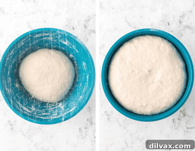 Pizzeria-Quality Pizza Dough At Home 7 Second set of process photos for making Homemade Pizza Dough. Images demonstrating kneading and dough rising.