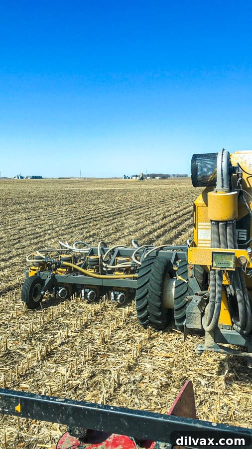 Harvesting the corn. A recently harvested cornfield, showing the remnants of stalks and a vast agricultural landscape.