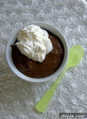 Delicious bowl of homemade chocolate pudding, ready to be enjoyed.