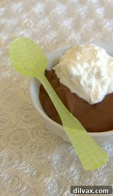 A spoonful of smooth, dark chocolate pudding, showcasing its thick and luxurious texture.