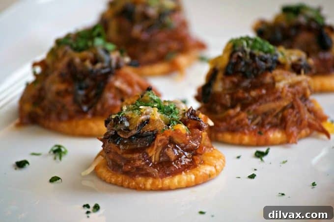 TheseÂ Sweet and Spicy Coca-Cola Shredded Pork BitesÂ are RITZ crackers topped with a bit of pork, caramelized onions, melted cheese and a dash of cilantro.Â Your Game Day taste buds will never be the same!