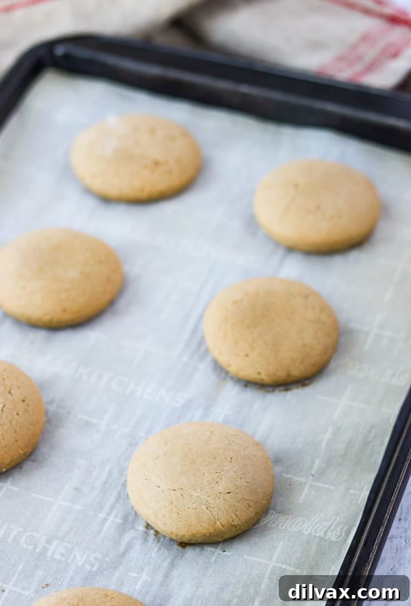 Freshly baked root beer cookies Root beer sugar cookies cooling on a baking sheet, showcasing even baking.