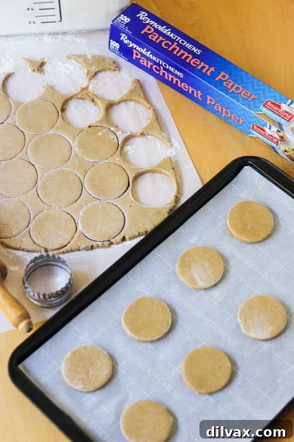 Cookies ready to be baked Unbaked root beer sugar cookie dough on a baking sheet, ready for the oven.