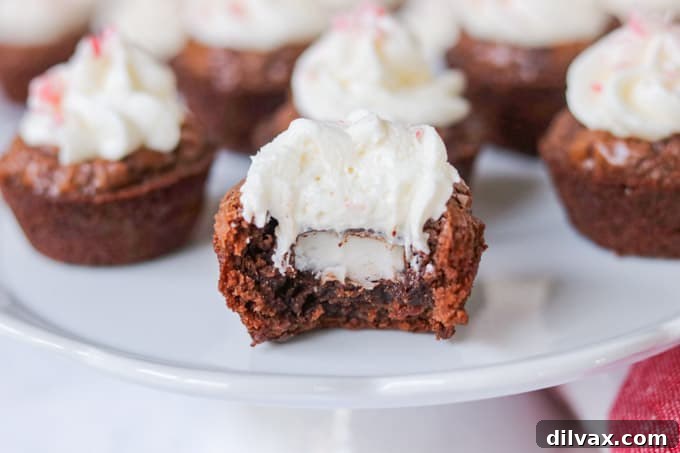 A plate of frosted peppermint brownie bites, showcasing their festive appearance.
