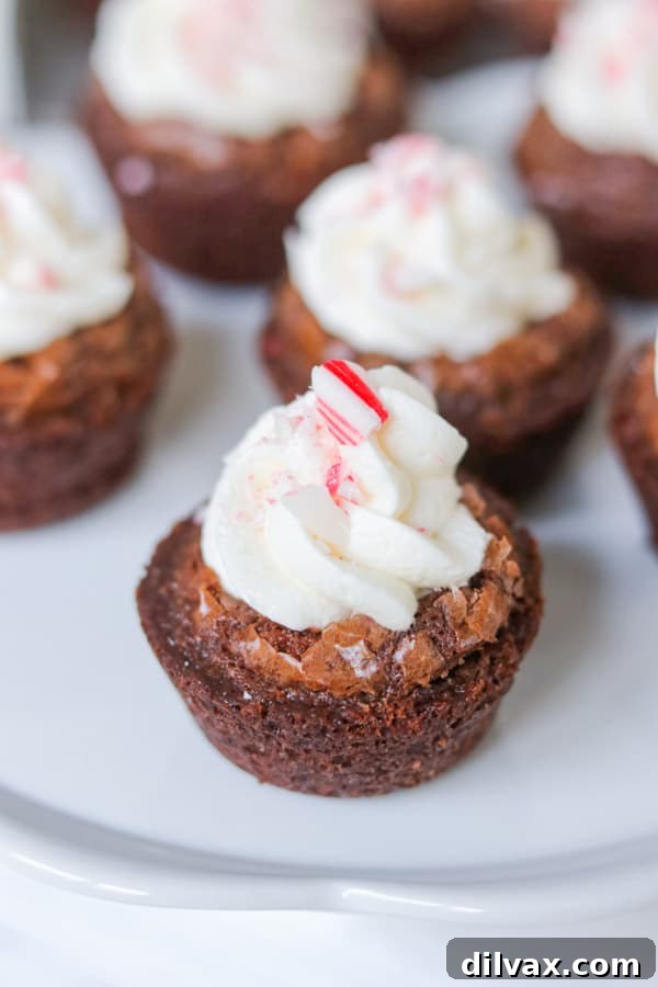 A single peppermint brownie bite with crushed candy cane topping on a white background.