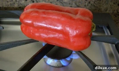 Red pepper roasting on a gas stove flame