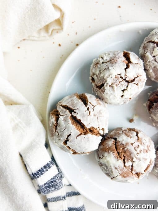 Peanut Butter Crinkle Cookies A close-up of finished Peanut Butter Crinkle Cookies, showcasing their signature crackled appearance and powdered sugar coating, inviting you to take a bite.