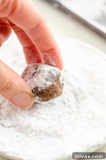 Rolling cookie dough in confectioners' sugar. Close-up shot of cookie dough balls being rolled in a generous coating of confectioners' sugar before baking, ensuring a perfect crinkle.