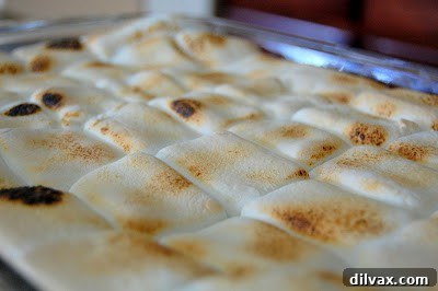 Mini Hershey's chocolate squares placed on top of toasted marshmallows