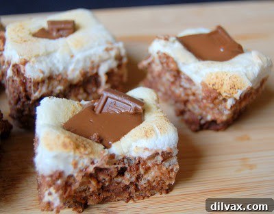 Finished S'Mores Rice Krispie Treats cooling