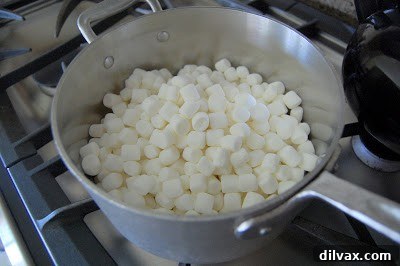 Graham cracker crumbs mixed into melted marshmallows