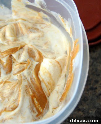 Nanner Butter Bliss Ice Cream 7 A bowl of Banana Cookie Butter Ice Cream topped with extra cookie butter and perhaps some banana slices