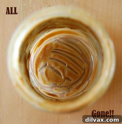 Nanner Butter Bliss Ice Cream 10 Another angle of Banana Cookie Butter Ice Cream, showing its texture