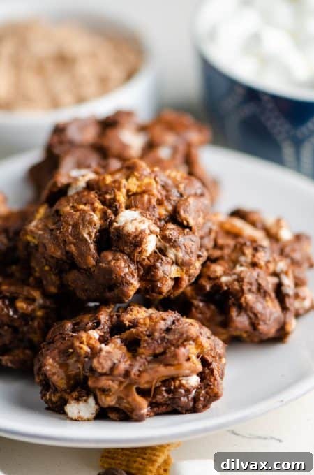No Bake Peanut Butter S'Mores Cookies.