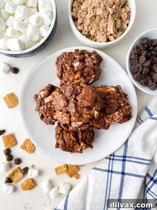 A plate of no bake chocolate cookies.