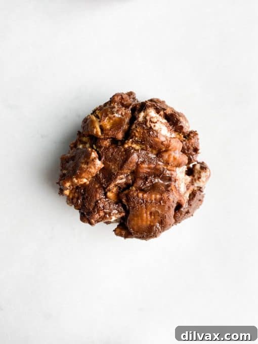 A no bake cookie made with Golden Grahams cereal, marshmallows, PB2 Peanut Butter Powder with Cocoa, and chocolate chips.