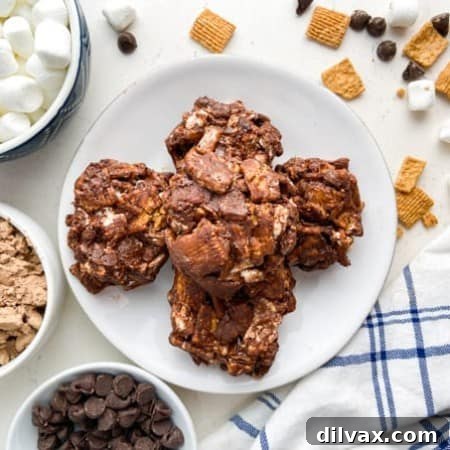 Peanut Butter S'Mores Cookies on a plate.
