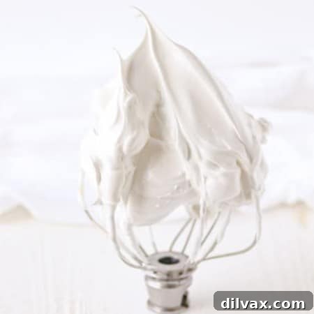 Fluffy Mallow Cloud Frosting 8 Marshmallow frosting.