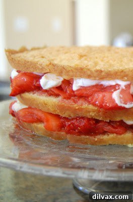 Detail shot of the side of the French Strawberry Cake, showing the cream and strawberry layers.