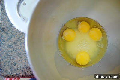 The genoise cake baking in the oven, rising beautifully.