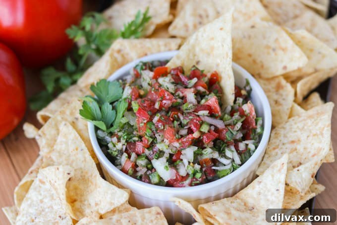 Fresh Salsa 2 Salsa fresca, vibrant and fresh.