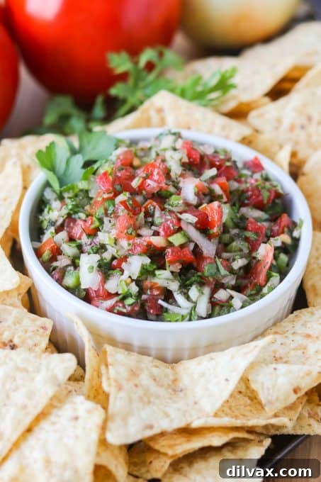 Fresh Salsa 3 Freshly prepared Pico de Gallo in a bowl.