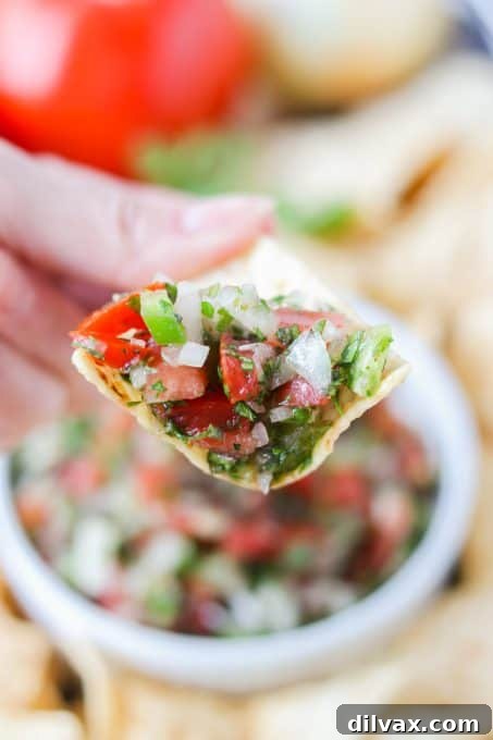 A crisp tortilla chip generously loaded with fresh Pico de Gallo.