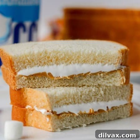 A Fluffernutter sandwich