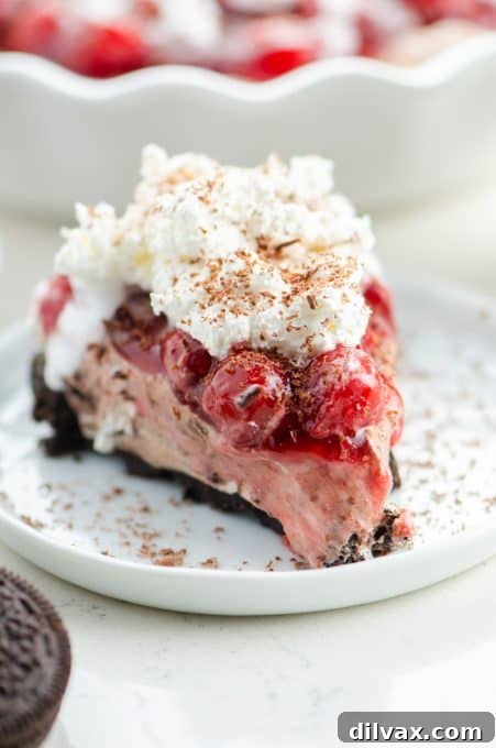 A perfect slice of Cherry Hot Chocolate Cheesecake, revealing its luscious layers