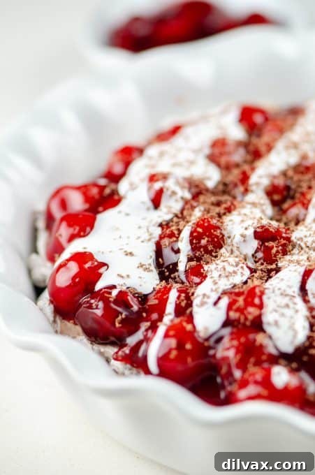 Close-up of cherry topping on chocolate cheesecake, adorned with marshmallow drizzle and chocolate shavings.
