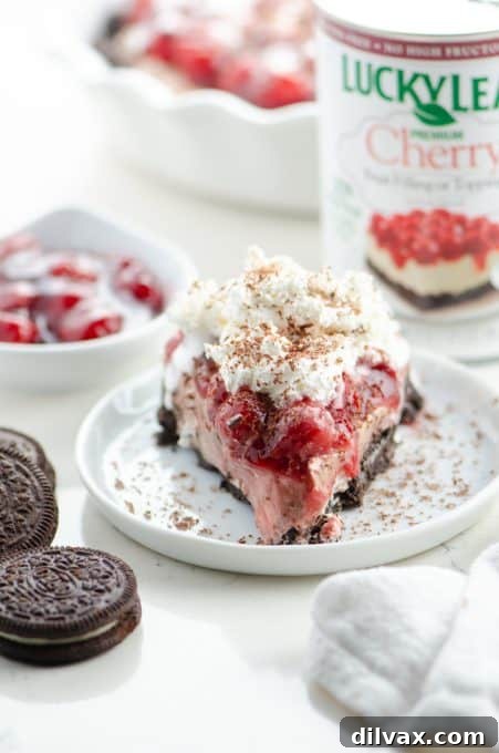A perfectly portioned slice of Cherry Hot Chocolate Cheesecake, ready to be devoured.
