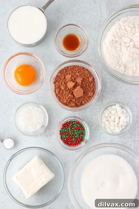 Ingredients for Chocolate Spritz Cookies.