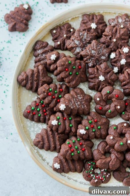 Spritz cookies made with cocoa.