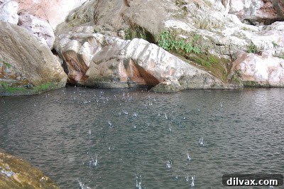 Close-up of water dripping from the top of Tonto Natural Bridge into the water below, illustrating natural formation.