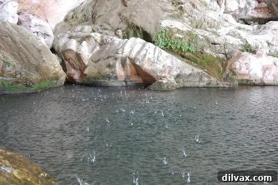 Water dripping from the top of Tonto Natural Bridge into the pool below.