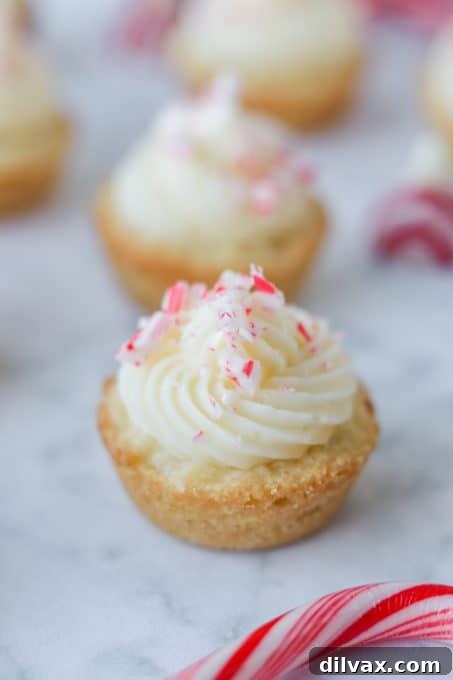 Mini Peppermint Cookie Cups 3 Peppermint Sugar Cookie Cups