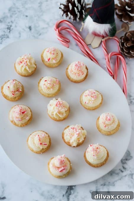 Mini Peppermint Cookie Cups 9 Cookie cups with peppermint frosting.