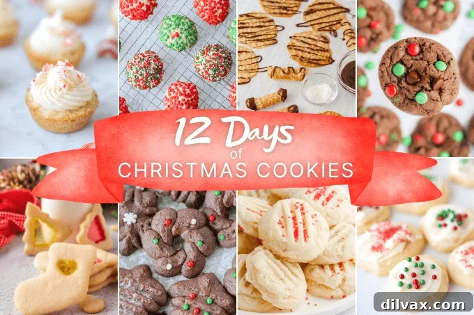 Our 12 Sweetest Days of 2021 2 One cookie a day for 12 days, showcasing a variety of festive holiday cookies.