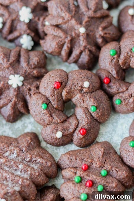 Our 12 Sweetest Days of 2021 9 Beautiful Chocolate Spritz Cookies, intricately shaped and covered with festive sprinkles.