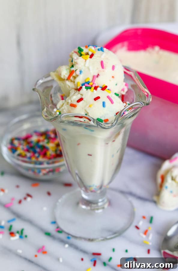 Two generous scoops of Cake Batter Ice Cream in a bowl, adorned with a cascade of colorful sprinkles.