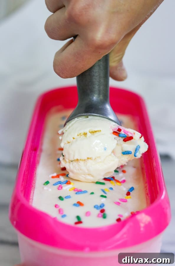 A large scoop of freshly churned Cake Batter Ice Cream being transferred from the ice cream maker.