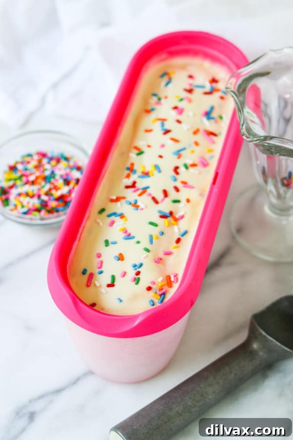 A container filled with freshly made Cake Batter Ice Cream, showing the creamy texture and colorful sprinkles mixed throughout.