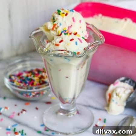 Ice Cream is a cool, refreshing summer treat!