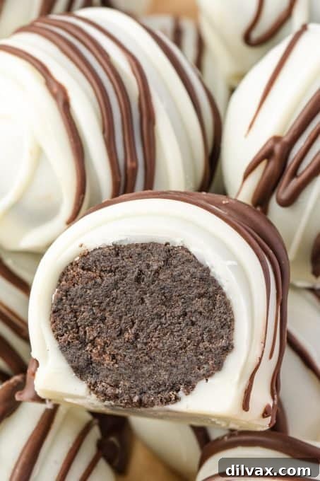 Oreo Truffles 9 A final close-up of the delightful Oreo Truffle Recipe.