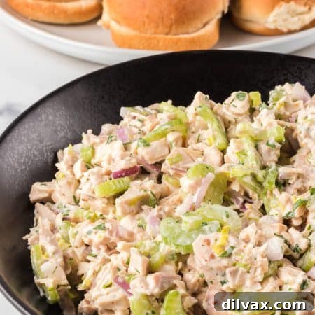 Chicken Salad without Mayo