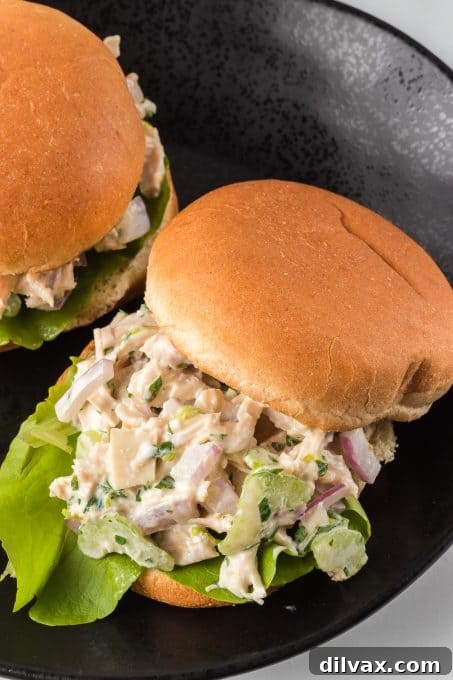 Summer salad with chicken and no mayonnaise. A vibrant plate featuring a scoop of chicken salad alongside crisp lettuce leaves, suggesting a healthy serving option.